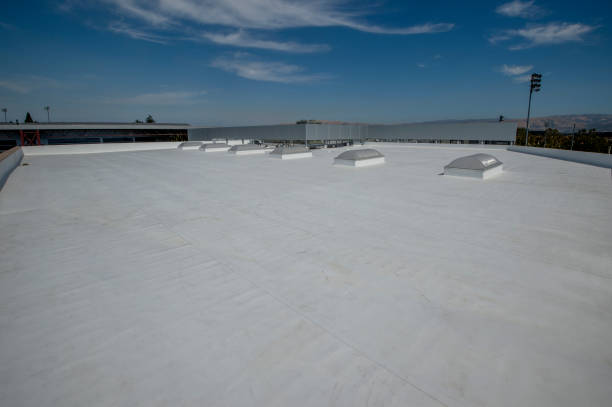 Best Roof Maintenance and Cleaning  in Munford, TN