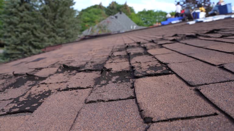 Best Slate Roofing  in Munford, TN
